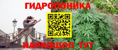 кокс Гусь-Хрустальный