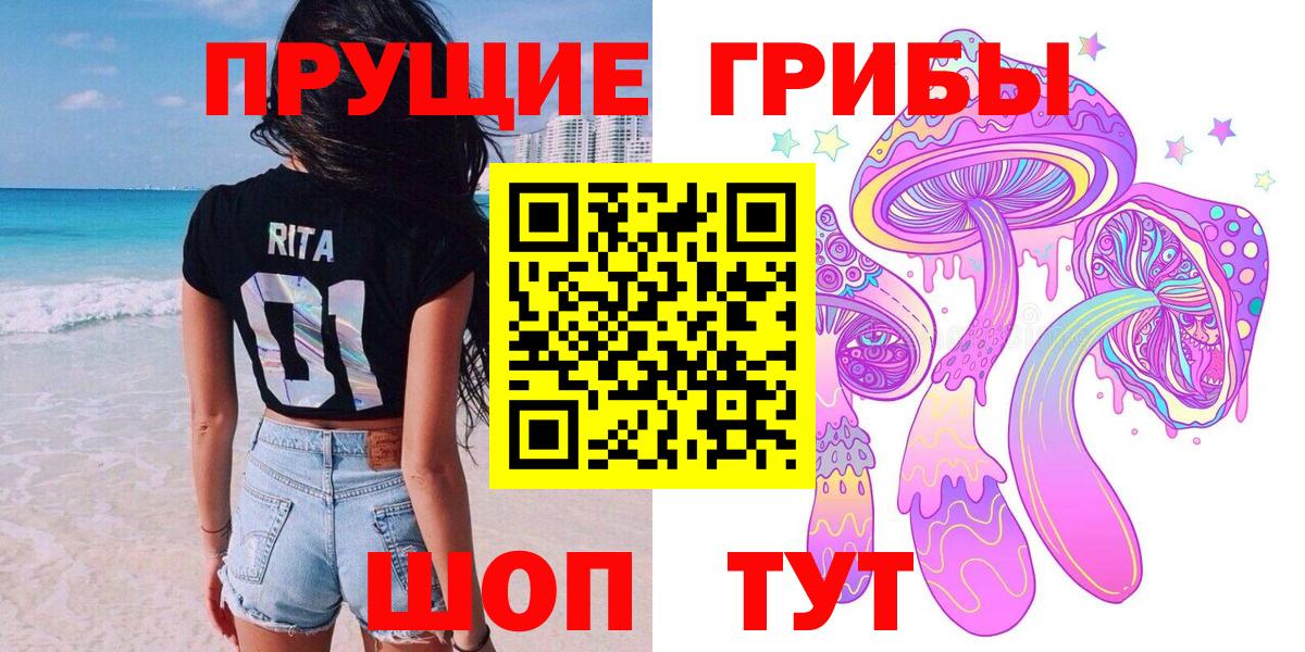 Псилоцибиновые грибы Psilocybine cubensis Ивантеевка